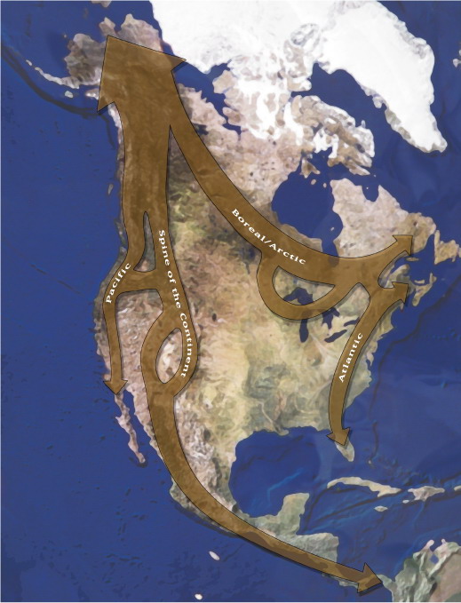 MAP: The Rewilding Network